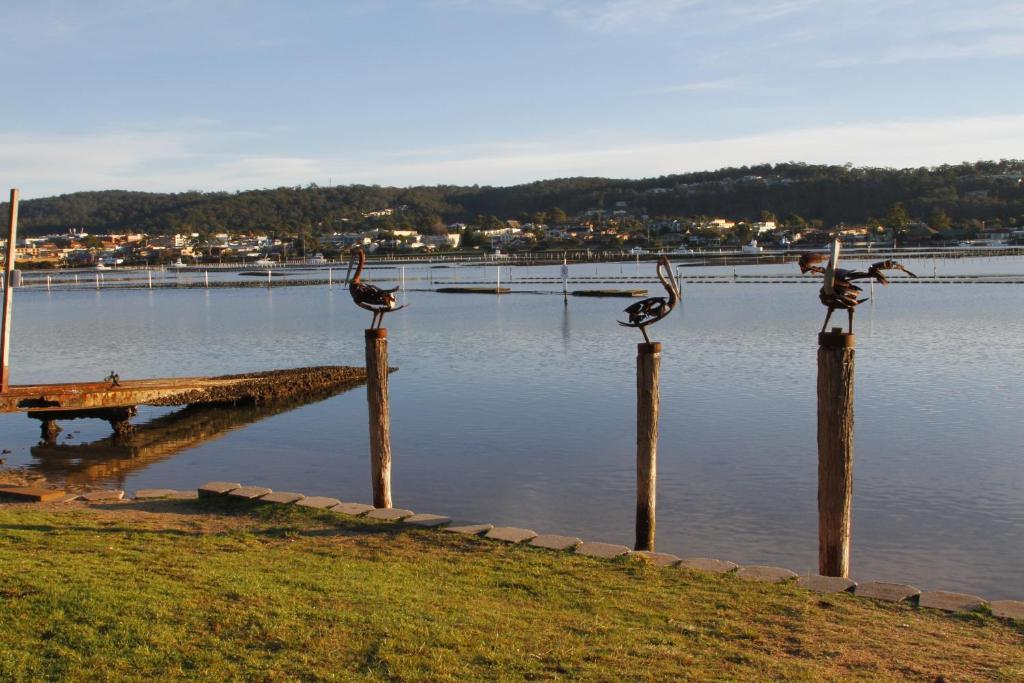 Sails Luxury Apartments Merimbula Εξωτερικό φωτογραφία